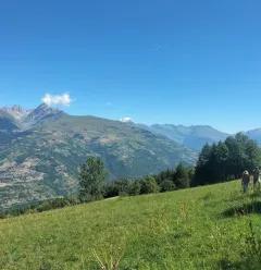 Environnement