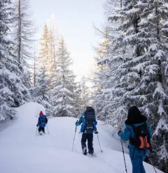 Itinéraire le Bois des Fornettes