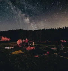 Pluie d'étoiles à Plan Bois