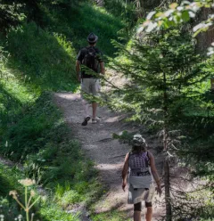 Itinéraire Bois des Fornettes