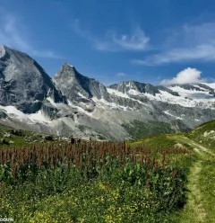 Matthieu RONDOUIN - Accompagnateur en montagne