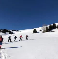 groupe 