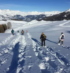 Balades et randonnées en raquettes_Plagne-Montalbert