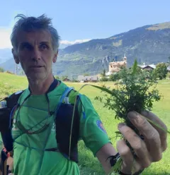 Sortie découverte des plantes comestibles et médicinales