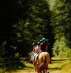Le Chalet des Vignobles - Equitation
