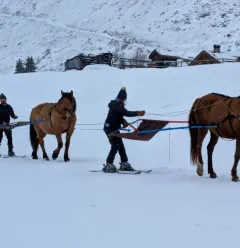 Le Chalet des Vignobles au P'tit Ranch_Champagny-en-Vanoise