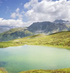 lac