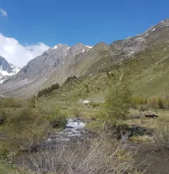 Vallon de Foran