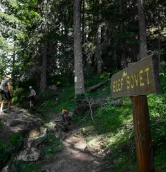 Sentier des Cîmes