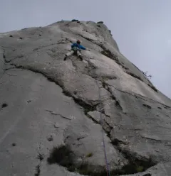 Escalade