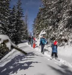 Sentier des Alpages Enchantés