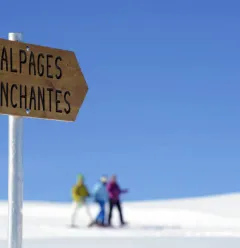 sentier-enchanté
