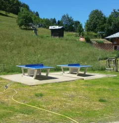 Table de ping pong