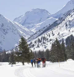 Cours individuel de ski de fond