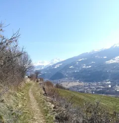 Itinéraire de randonnée pédestre : Sentiers des 4 saisons_Aime-la-Plagne