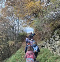 Itinéraire de randonnée pédestre : Sentiers des 4 saisons_Aime-la-Plagne
