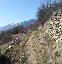 Itinéraire de randonnée pédestre : Sentiers des 4 saisons_Aime-la-Plagne