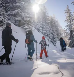 Plan Bois sous les étoiles !_Montchavin-les-Coches