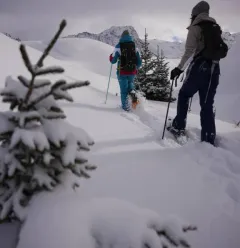 Plan Bois sous les étoiles !_Montchavin-les-Coches
