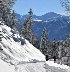 Piste damée de l'espace hivernal de La Côte d'Aime