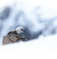 Concours photo à Champagny-en-Vanoise_Champagny-en-Vanoise