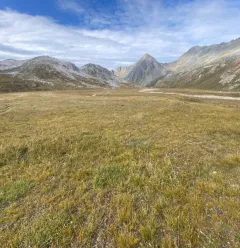 Randonnée les grands espaces de Champagny en Vanoise