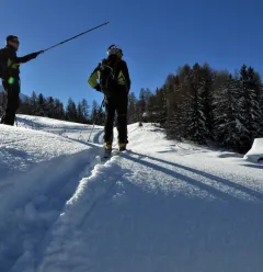 Itinéraire ski de randonnée : Les Coches - Plan Bois