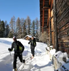 Itinéraire ski de randonnée : Les Coches - Plan Bois