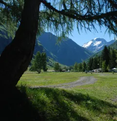 Terrain de pétanque - Camping Le Canada