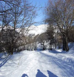 Chemin de Montgésin