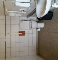Toilette handicapé