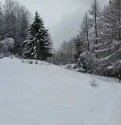 Itinéraire de raquette "La Pierra"