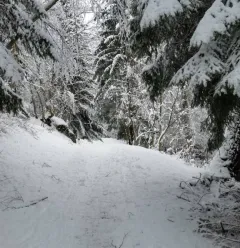 Itinéraire de raquette "La Pierra"