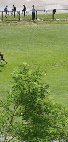 Terrain de football
