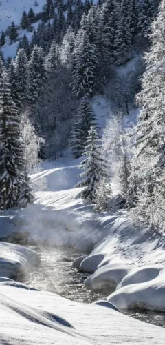 Vallon de Champagny-le-Haut