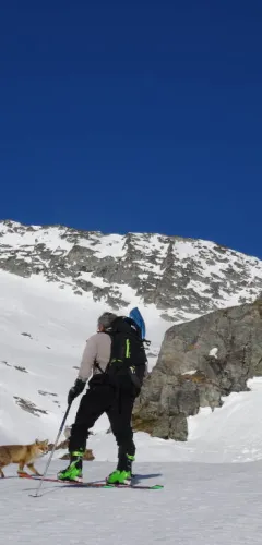 Sortie ski de randonnée avec le Bureau des Guides de Plagne Montalbert