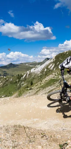 VTT-24.jpg