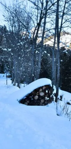 Itinéraires nordiques de Prachanié_Aime-la-Plagne