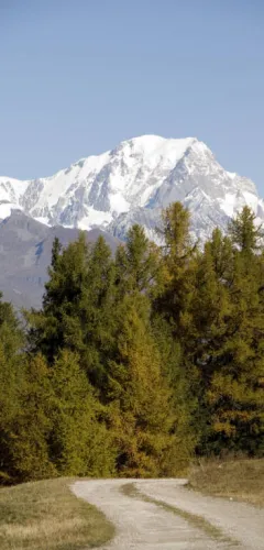 Panorama sur le Mont Blanc