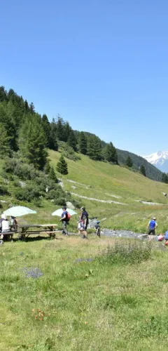 Vallée des Bauches
