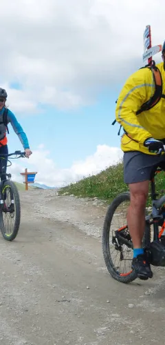 VTT