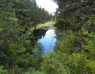 Tourbière du Lac Noir