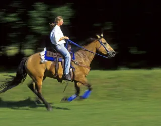 La_Plagne_equitation_2_Ph_Royer_2013.jpg