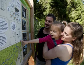 Biodiversité été