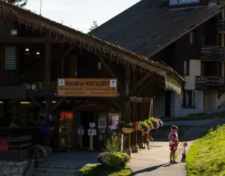 Office Montalbert été