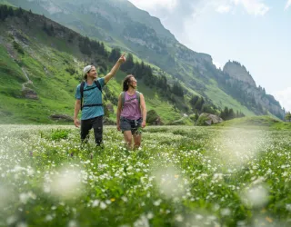 Itinéraire de randonnée pédestre : Sentier du Plateau de Plan Pichu_Aime-la-Plagne