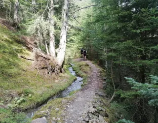 Sentier du Grand Bief