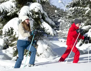 Sentier Raquettes "Le Bois"