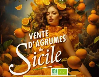 Agrumes bio de Sicile