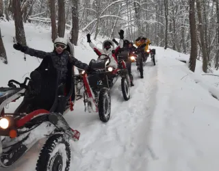 Swincar Hiver
